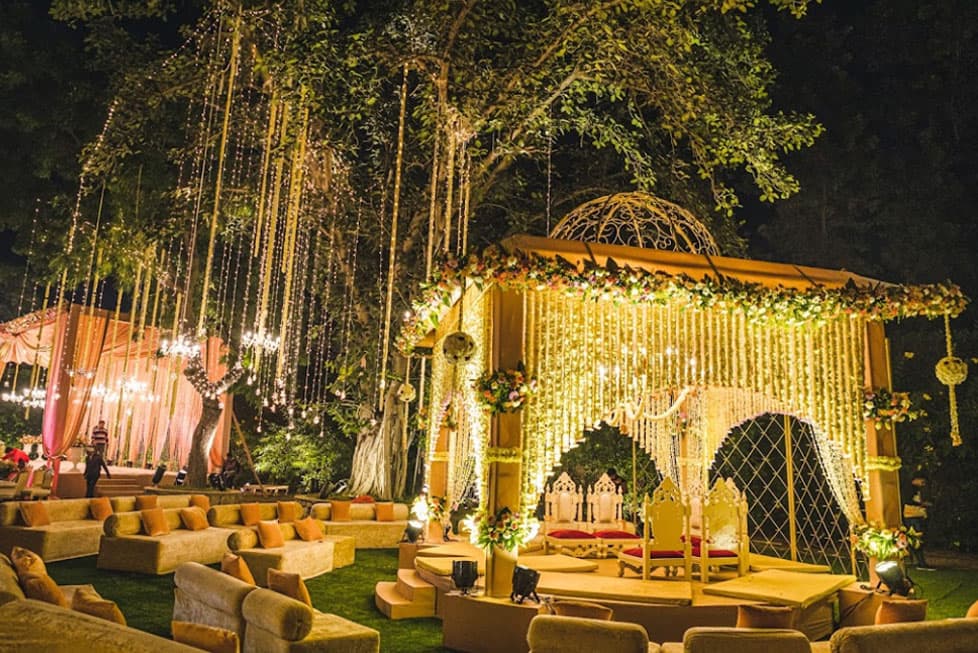 Amaara Farms - Image 3