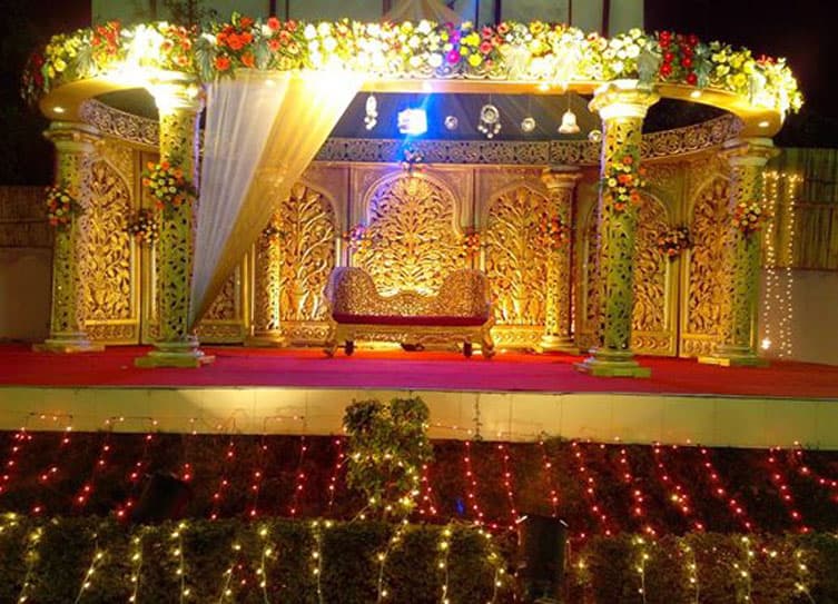 Aman Green - Image 1