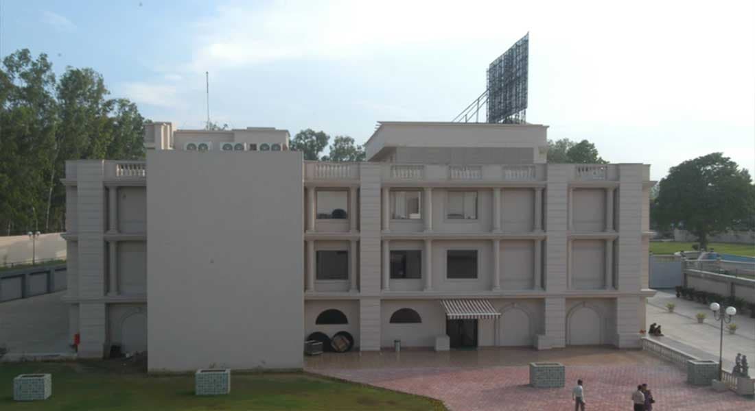 Mapple Emerald - Image 3