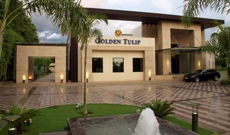Golden Tulip - Image 2