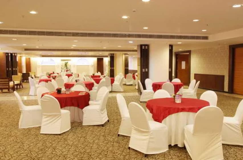 Maple Emerald - Image 2