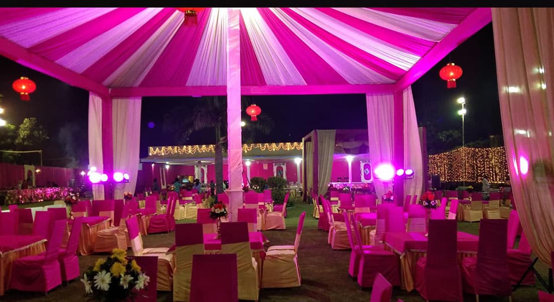 Anand Farm - Image 2