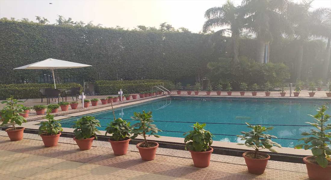 Nirvana Patioz - Image 3