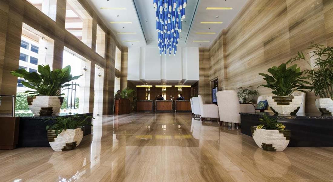 Golden Tulip - Image 2