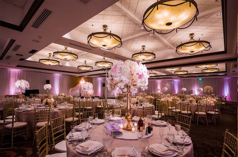 Ziba Resorts - Image 2