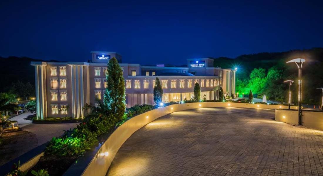 Golden Tulip - Image 3