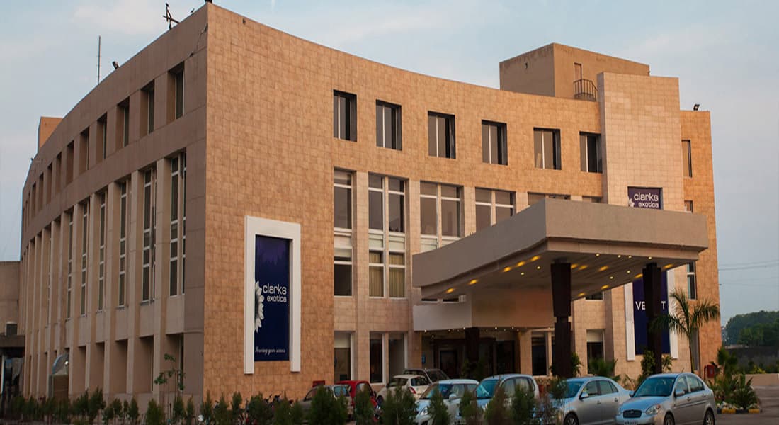 Velvet Clarks Exotica - Image 3