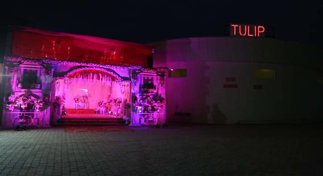 Tulip Garden - Image 1