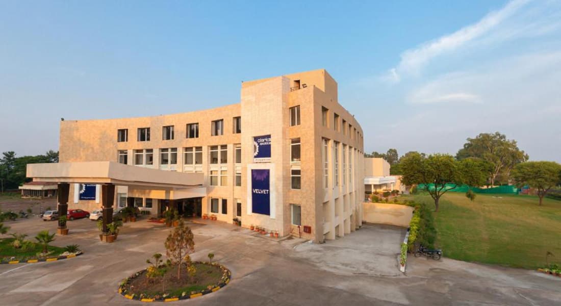 Velvet Clarks Exotica - Image 1