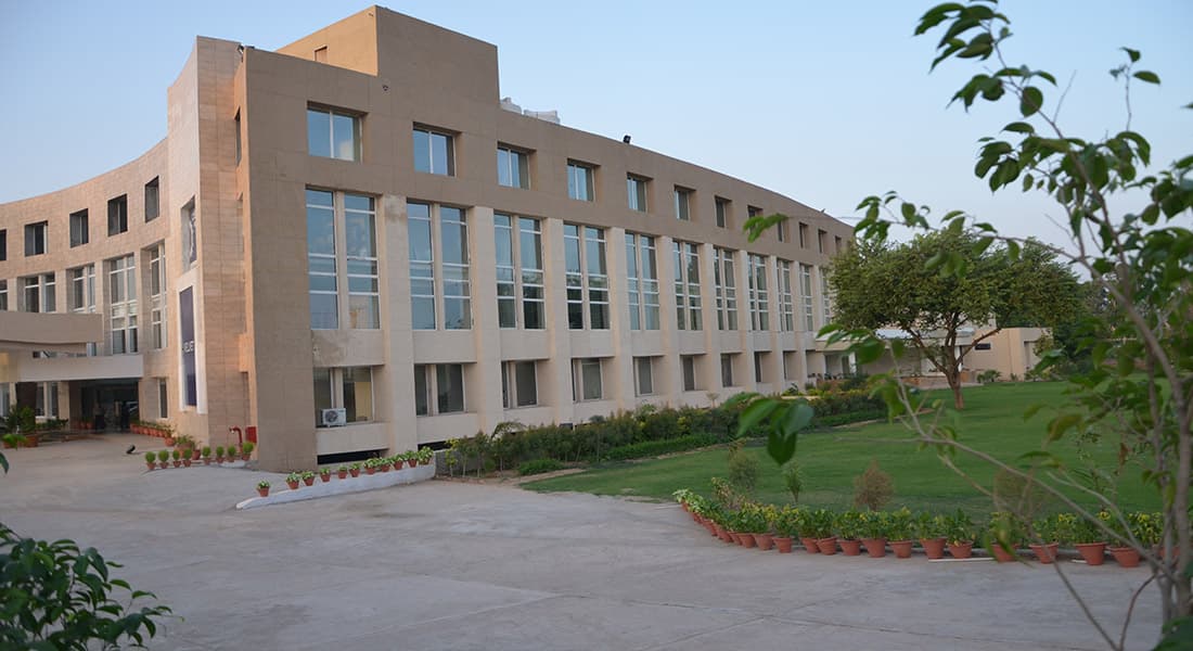 Velvet Clarks Exotica - Image 2